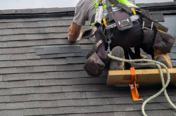 Best Emergency Roof Repair Services  in Ferndale, CA